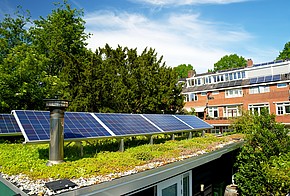 Dachbegrünung mit Photovoltaik Begrüntes Dach mit Photovoltaikanlage