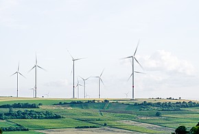 Windräder auf grünen Feldern.